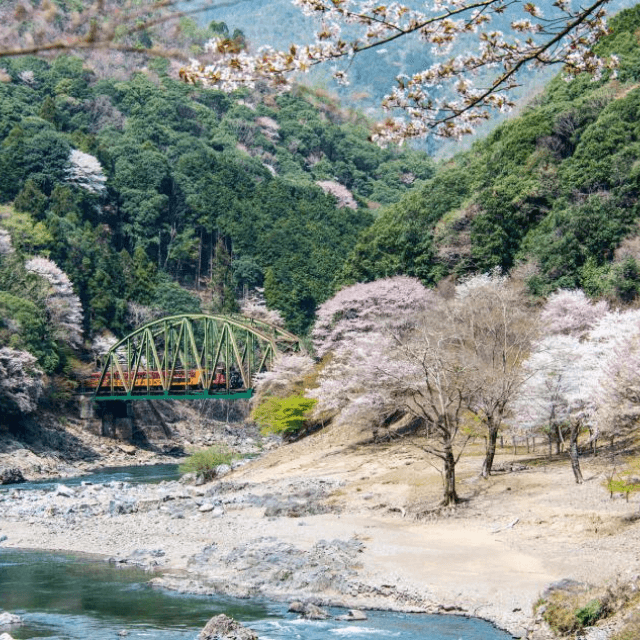 岚山小火车